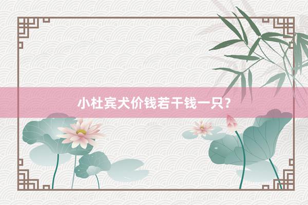 小杜宾犬价钱若干钱一只？