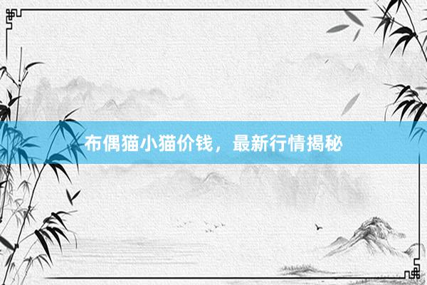 布偶猫小猫价钱，最新行情揭秘