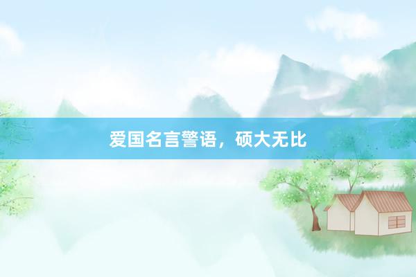 爱国名言警语，硕大无比